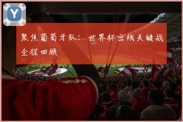 聚焦葡萄牙队:世界杯出线关键战全程回顾