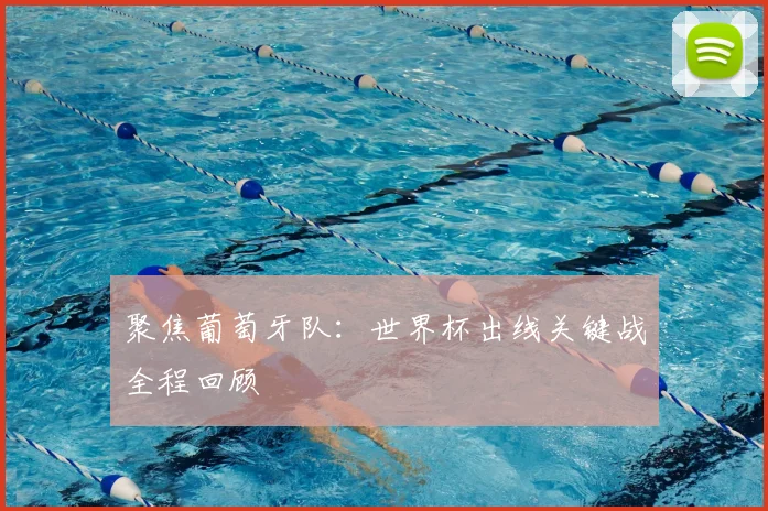 聚焦葡萄牙队：世界杯出线关键战全程回顾
